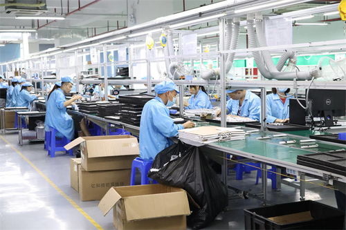 探访北冥小鱼 当科技触手可及，智慧生活从指尖开始